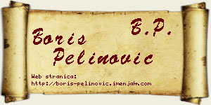 Boris Pelinović vizit kartica